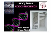 BIOQUÍMICA ÁCIDOS NUCLEICOS · ÁCIDOS NUCLEICOS -DNA e RNA Compostos orgânicos responsáveis pelas funções de: - Comando da síntese proteica nas células. - Síntese de RNA.