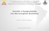 Suicídio e Desigualdade nas Microrregiões Brasileiras · Suicídio e Desigualdade nas Microrregiões Brasileiras Universidade Federal do Rio Grande do Norte (UFRN) Centro de Ciências