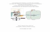 FÍSICO- QUÍMICA NA COZINHA Nunes Barre… · vi RESUMO Esta monografia tem o objetivo de descrever a química existente na cozinha mais particularmente a físico-química. O assunto