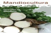MANDIOCULTURA - OIT/Cinterfor · Figura 8. Beiju, outro delicioso produto da mandioca. Figura 9. O pãozinho de queijo, também é outro delicioso produto da mandioca. Figura 10.