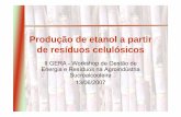 Produção de etanol a partir de resíduos celulósicosnest.unifei.edu.br/.../files/dia13/4-Sandra-Helena-da-Cruz.pdf · Matéria prima para produção de álcool • Cana-de-açúcar