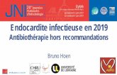 Antibiothérapie hors recommandations · 20es JNI, Lyon du 5 au 7 juin 2019 Endocardite infectieuse en 2019 Antibiothérapie hors recommandations Bruno Hoen . AEPEI
