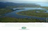 ch...Diretrizes preliminares para a gestão de áreas naturais considerando o impacto da mudança do clima sobre a biodiversidade na região do Mosaico de Áreas Protegidas do Lagamar