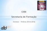 CEBI Secretaria de Formação€¦ · III – Assessorar as coordenações e equipes estaduais em seus processos de formação local; IV – Representar o CEBI na coordenação de