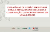 ESTRATÉGIAS DE GESTÃO TERRITORIAL PARA A RESTAURAÇÃO ... … · Executar a política florestal do Estado e promover a preservação e a conservação da fauna e flora, o uso sustentável