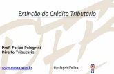 Prof. Felipe Pelegrini Direito Tributário · III - de exigência, por mais de uma pessoa jurídica de direito público, de tributo idêntico sobre um mesmo fato gerador. (bitributação)