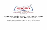 Câmara Municipal de Imperatriz Estado do Maranhão...Língua Portuguesa Análise e Interpretação de Texto ...