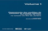 Volume 1 - bibliotecadigital.fgv.br · Mapeamento dos conflitos de consumo de energia elétrica: um estudo de caso no estado do Rio de Janeiro / Coordenador Ricardo Morishita Wada.