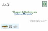 Ciclagem de Nutrientes em Sistemas Florestais · PDF file Ciclagem de nutrientes: bioquímica e biogeoquí mica Eficiência de uso dos nutrientes Profundidade edáfica de exploração