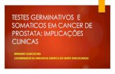 TESTES GERMINATIVOS E SOMATICOS EM CANCER DE … Bernardo... · 2sss 2681 2114 of PVs 110% 112% 2.7% 2.7% 100.0% 117% 2.2% 26 0.0% 182% 0.0% so . Received: 8 November 2018 Revised: