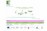 Inserida na Semana Europeia da Prevenção de Resíduos (EWWR ...docs-sraa.azores.gov.pt/Portal/file__14-11-2016_11-19-32.8673463.pdf · Câmara Municipal de Santa Cruz das Flores,
