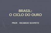 BRASIL: O CICLO DO OURO - Colégio Rainha do Brasilrainhadobrasil.g12.br/ckfinder/userfiles/files/BRASIL... · 2020-03-03 · o ciclo do ouro prof. ricardo schmitz. portugal : sÉculo