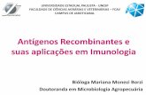 Antígenos Recombinantes e suas aplicações em Imunologia · Antígenos Recombinantes e suas aplicações em Imunologia Bióloga Mariana Monezi Borzi Doutoranda em Microbiologia
