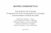 Apresentação [Modo de Compatibilidade]pgene.ufabc.edu.br/docentes/Riascos/ensino/disciplinas/... · 2010-08-12 · Pesquisa Energética (EPE), vinculada ao Ministério de Minas