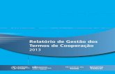 Relatório de Gestão dos Termos de Cooperação...de doenças e agravos, a definição de prioridades e a organização dos serviços e ações de saúde no âmbito da SVS. 3.8 RE