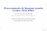 Processamento de Imagens usando Grafos (MAC6903)vision.ime.usp.br/~pmiranda/mac6903_2s13/aulas/aula01/aula01.pdf · são objetos de uma imagem ou objetos (ou imagens) de um banco