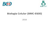 Biologia Celular (BMC-0100) curso.pdfBiologia Celular - 2018 • Aulas poderão ser disponibilizadas em formato pdf (email da turma/site), porém essa decisão depende de cada docente.