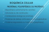 BIOQUÍMICA CELULAR - acessoeducar.com.bracessoeducar.com.br/materias/biologia/bioquimicaproteinas.pdf · BIOQUÍMICA CELULAR PROTEÍNAS, POLIPEPTÍDEOS OU PROTÍDIOS • Biopolímeros