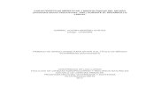 CARACTERÍSTICAS MERÍSTICAS Y MORFOLÓGICAS DEL NICURO … · 2020-04-21 · caracterÍsticas merÍsticas y morfolÓgicas del nicuro (pimelodus blochii valenciennes, 1840), durante