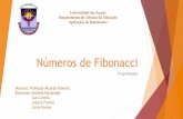 Universidade dos Açores Departamento de Ciências da Educação …sites.uac.pt/mea/files/2014/01/am-13-14-15B.pdf · 2018-10-02 · de Fibonacci ao quadrado é sempre igual ao número