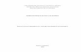 PEDRO HENRIQUE BATISTA DE BARROS · 2019-05-07 · PEDRO HENRIQUE BATISTA DE BARROS ESSAYS ON ENVIROMENTAL AND DEVELOPMENT ECONOMICS Dissertação apresentada como requisito parcial