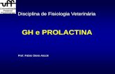 GH e PROLACTINA - Universidade Federal Fluminensefisiovet.uff.br/.../delightful-downloads/2018/07/GH_PRL.pdf · 2018-07-03 · Hipotálamo inibe a produção da prolactina Hormônio