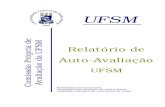 RELATORIO AUTO-AVALIAÇÃO final...Relatório de Auto-Avaliação da UFSM 7 Quadro 17 – Instrumento de avaliação da pós-graduação (Módulo 7) do Centro de Educação – 1º