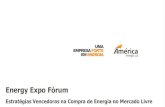 Energy Expo Fórum · 2017-10-27 · 2 12 2 jan/13 3 mai/13 3 13 3 jan/14 4 mai/14 4 14 4 jan/15 5 mai/15 5 15 5 jan/16 6 mai/16 6 16 6 jan/17 7 mai/17 Geração Hidráulica Segurança