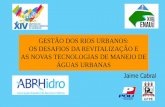 GESTÃO DOS RIOS URBANOS: OS DESAFIOS DA REVITALIZAÇÃO … · 2018-12-06 · Eugénio Santiago, Recife-PE, 2 de Agosto de 2012 Portugal. renaturalização de linhas de água urbanas