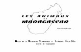 Les animaux de Madagascar : mammifèreshorizon.documentation.ird.fr/exl-doc/pleins_textes/... · 2014-07-28 · Ces fiches ont été réalisées sous le haut patronage de l'UnionInternationale