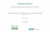 Instituto de Pesquisas Jardim Botânico do Rio de Janeiro ... · risco de extinção considera os registros históricos para o cálculo de Extensão de Ocorrência (EOO) histórico
