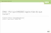 DNS - Por que DNSSEC agora mais do que nunca · DNS - Por que DNSSEC agora mais do que nunca ? Frederico Neves  GTS12 - São Paulo - 20081108