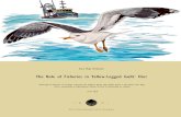 The Role of Fisheries in Yellow-Legged Gulls’ Diet...Na Península Ibérica, as atividades pesqueiras são de grande importância económica. Estas práticas podem desempenhar um