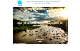 Bacia Hidrográfica do Ribeira de Iguape e Litoral Sul …...CBH-RB Comitê da Bacia Hidrográfica do Ribeira de Iguape e Litoral Sul Relatório de Situação dos Recursos Hídricos