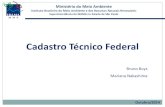 Cadastro Técnico Federal · 2014-10-07 · Defesa Ambiental CTF/AIDA Outubro/2014 . Cadastro Técnico Federal Lei 6.938/1981 ... Superintendência do IBAMA no Estado de São Paulo