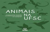 ANIMAIS - Notícias da UFSC · 2019-09-27 · fechado e não consiga sair, ou esteja machucada, o reco-mendado é solicitar a presença da Polícia Ambiental Mili-tar para retirada