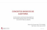 CONCEITOS BÁSICOS DE AUDITORIA · conceitos bÁsicos de auditoria estrutura e conteÚdo esquemÁtico das normas brasileiras de auditoria ... nÍvel 2 prÉ-requisitos func. e.f.s.