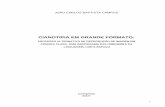 CIANOTIPIA EM GRANDE FORMATO - Livros Grátislivros01.livrosgratis.com.br/cp127111.pdf · 2016-01-26 · Cianotipia, com a utilização de matrizes-negativos em grandes formatos,
