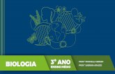 BIOLOGIA 3º ANO PROF.ª MANUELLA SEREJO ENSINO MÉDIO … · 2019-06-05 · Poluição dos solos • Poluição pelos resíduos tóxicos utilizados em larga escala na agricultura.