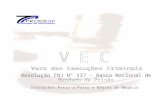 Tela Inicial do Sistema VEC – Administração de …€¦ · Web viewAs informações do mandado de prisão, para fins de registro no Banco Nacional de Mandados de Prisão - BNMP