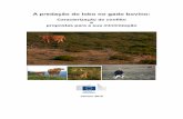 A predação do lobo no gado bovino - European Commissionec.europa.eu/.../pdf/pa_iberia3_lobo_e_bovinos_pt.pdf · 2020-02-19 · A coexistência entre lobos e criadores de gado é