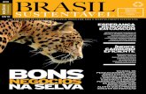 2011 Brasil - CEBDS...da biodiversidade brasileira, mas alerta que é preciso investir em inovação mesmo sem definição das metas a serem cumpridas pelos países, cop-16 devolve
