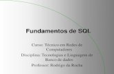 Fundamentos de SQLrrbs/pronatec/Aulas_SQL.pdf · 2013-11-18 · SQL BÁSICO - DML - SELECT Uma coluna pode ser especificada pelo nome da sua tabela (Tabela.Coluna), bem como, ser