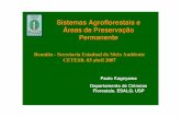 Governo do Estado de São Paulo · 2009-08-26 · Manejo de PFNMs São recursos/produtos biológicos que não a madeira que podem ser obtidos das florestas para subsistência e/ou