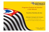 Programa Paulista de Petróleo e Gás Natural Paulínia ... · Paulínia Petróleo e Gás 2013 Programa Paulista de Petróleo e Gás Natural -PPPGN Conselho Estadual de Petróleo