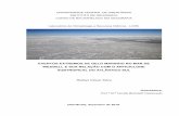 EVENTOS EXTREMOS DE GELO MARINHO NO MAR DE WEDDELL …€¦ · extensão de gelo marinho do NSIDC entre 1981-2015; Dados da reanálise climática Era-Interim, fornecida pelo ECMWF,