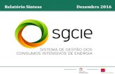 Relatório Síntese Dezembro 2016 · Relatório síntese –dezembro 2016 4 Dez principais formas de energia Entre as 10 principais formas de energia consumidas pelas instalações