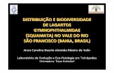DISTRIBUIÇÃO E BIODIVERSIDADE DE LAGARTOS … · Gymnophthalmidae na região do Vale do Rio São Francisco, inferindo acerca dos possíveis efeitos de variações ambientais (e