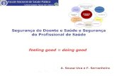 Segurança do Doente e Saúde e Segurança do Profissional de ...proqualis.net/sites/proqualis.net/files/Aula - SDoente e SS Prof Saude... · Safety Journey in Portugal: Challenges