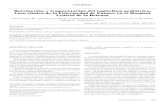 Rarefacción y fragmentación del capitellum pediátrico ...scielo.isciii.es/pdf/sm/v75n2/1887-8571-sm-75-02-113.pdf · Rarefacción y fragmentación del capitellum pediátrico. Caso